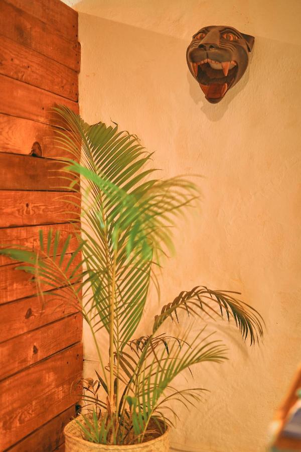 Blue Pepper Beds Sayulita Vandrehjem Eksteriør billede
