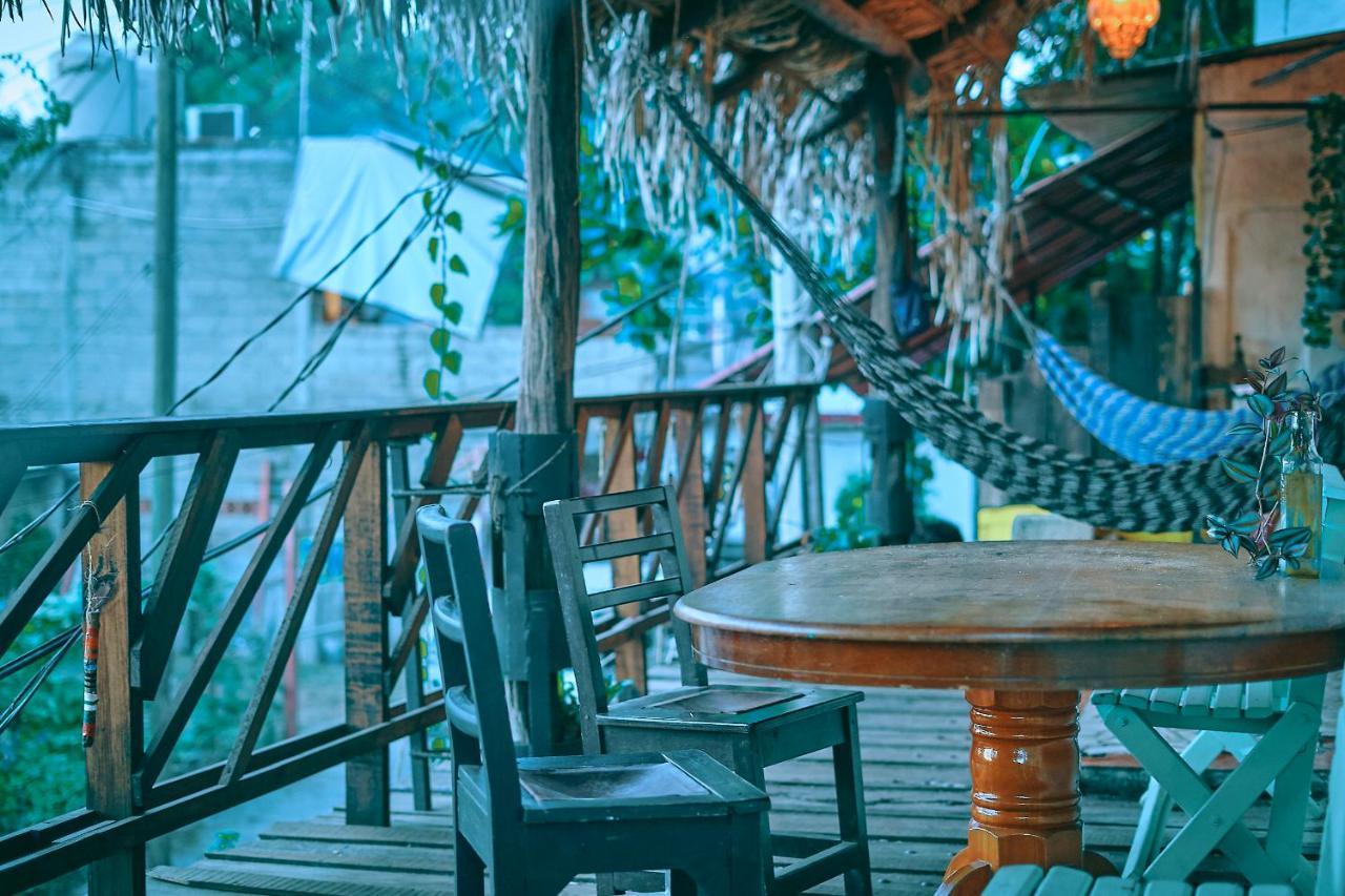 Blue Pepper Beds Sayulita Vandrehjem Eksteriør billede