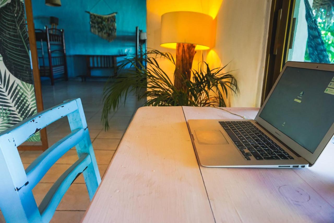 Blue Pepper Beds Sayulita Vandrehjem Eksteriør billede